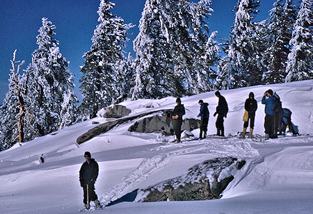 Taking a breather on the way toward Alta Peak - Sequoia National Park 1965