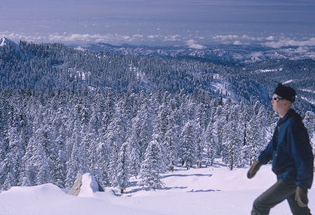 View of the valley on the way toward Alta Peak<br>Sequoia National Park 1965 View of the valley on the way toward Alta Peak<br>Sequoia National Park 1965