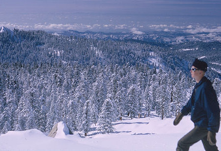 View of the valley on the way toward Alta Peak - Sequoia National Park 1965