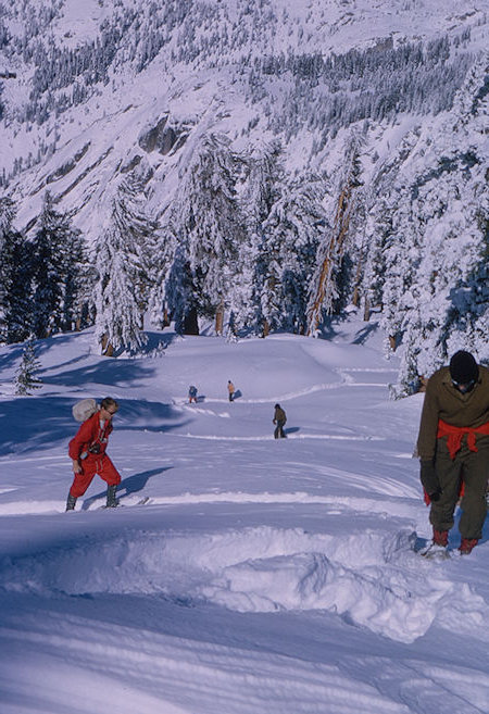 Climbing slope on way toward Alta Peak - Sequoia National Park 1965