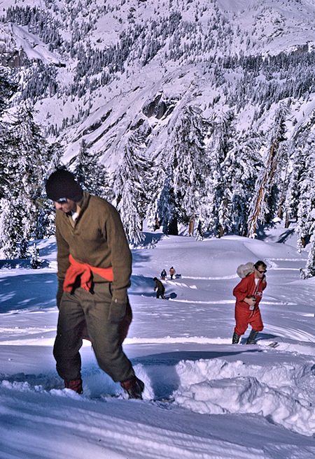 Climbing slope on way toward Alta Peak - Sequoia National Park1965