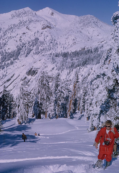 Climbing slope on way toward Alta Peak<br>Sequoia National Park1965 Climbing slope on way toward Alta Peak<br>Sequoia National Park1965