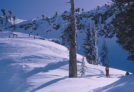 Nearing the ridge on way toward Alta Peak - Sequoia National Park 1965