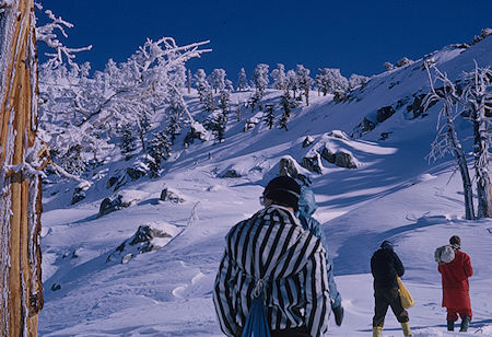 Nearing the ridge on way toward Alta Peak - Sequoia National Park 1965