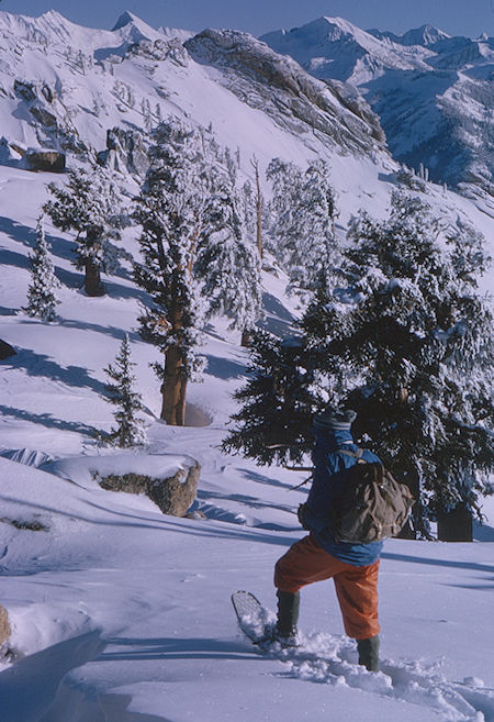 Tharps Rock - Sequoia National Park 1965