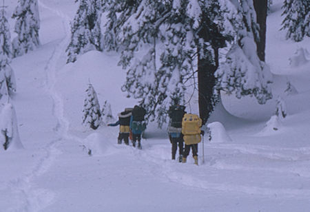On the way out<br>Sequoia National Park 1965 On the way out<br>Sequoia National Park 1965