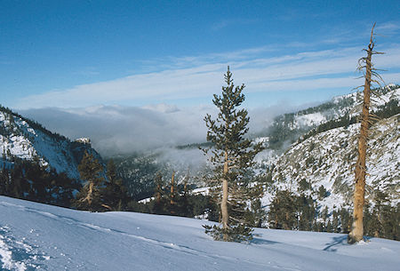 Watch Tower, Lodgepole Valley<br>Sequoia National Park 1973 Watch Tower, Lodgepole Valley<br>Sequoia National Park 1973
