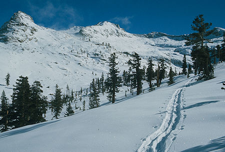Pear Lake Valley<br>Sequoia National Park 1973 Pear Lake Valley<br>Sequoia National Park 1973