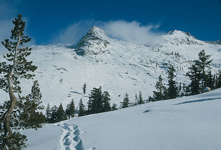 Pear Lake valley<br>Sequoia National Park 1973 Pear Lake valley<br>Sequoia National Park 1973