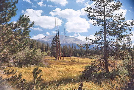 Along Rock Creek - Sequoia National Park 29 Aug 1971