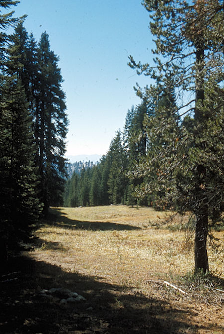 Cahoon Meadow - Sequoia National Park<br>October 1973 Cahoon Meadow - Sequoia National Park<br>October 1973