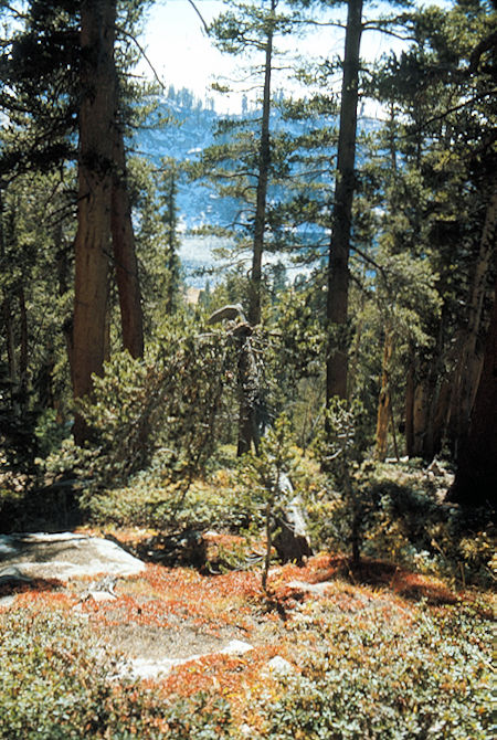 Sierra Nevada - Sequoia National Park<br>Fall colors and Twin Lake - October 1973 Sierra Nevada - Sequoia National Park<br>Fall colors and Twin Lake - October 1973
