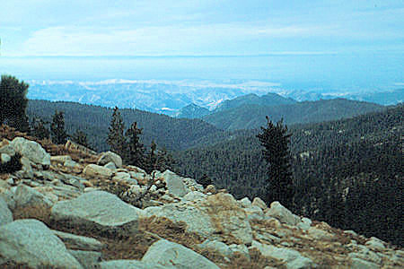 Sierra Nevada - Sequoia National Park - On the way down Silliman Creek - October 1973