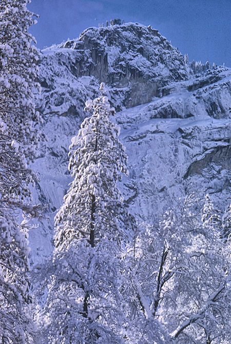 Glacier Point from Stables in Yosemite Valley - Yosemite National Park 01 Jan 1966 Glacier Point from Stables in Yosemite Valley - Yosemite National Park 01 Jan 1966