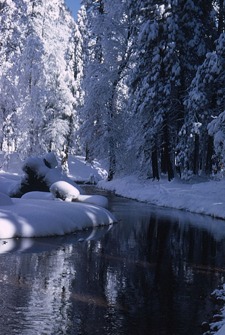 Merced River near Stables in Yosemite Valley - Yosemite National Park 01 Jan 1966