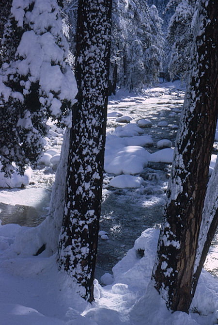 Merced River below Happy Isles in Yosemite Valley - Yosemite National Park 01 Jan 1966 Merced River below Happy Isles in Yosemite Valley - Yosemite National Park 01 Jan 1966