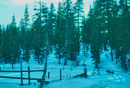 Corral at Mammoth Pack Station - Mammoth Lakes Basin 24 Dec 1960 Corral at Mammoth Pack Station - Mammoth Lakes Basin 24 Dec 1960