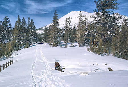 Mammoth Mountain from bridge at outlet to Lake Mamie - Mammoth Lakes Basin 17 Feb 1973 Mammoth Mountain from bridge at outlet to Lake Mamie - Mammoth Lakes Basin 17 Feb 1973