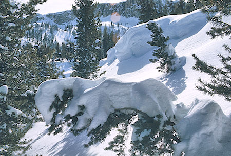 Snow form on way to Mammoth Pass - Mammoth Lakes Basin 17 Feb 1973 Snow form on way to Mammoth Pass - Mammoth Lakes Basin 17 Feb 1973