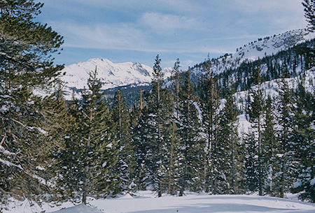 View toward Duck Lake Pass route from approach to Mammoth Pass - Mammoth lakes Basin 17 Feb 1973