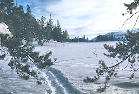 Looking east over frozen McCloud Lake in the morning - Mammoth Lakes Basin 18 Feb 1973 Looking east over frozen McCloud Lake in the morning - Mammoth Lakes Basin 18 Feb 1973
