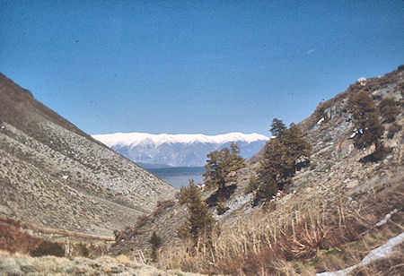 White Mountains from McGee Creek - John Muir Wilderness 16 May 1971 White Mountains from McGee Creek - John Muir Wilderness 16 May 1971