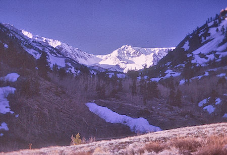 Early morning view up McGee Creek - John Muir Wilderness 15 May 1971 Early morning view up McGee Creek - John Muir Wilderness 15 May 1971