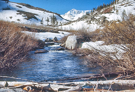  McGee Creek - John Muir Wilderness 15 May 1971