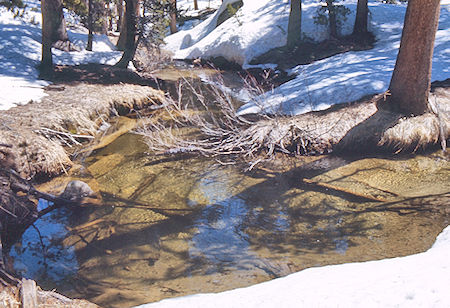 McGee Creek - John Muir Wilderness 15 May 1971