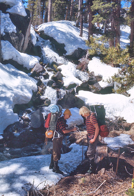 Side Creek on  McGee Creek - John Muir Wilderness 15 May 1971