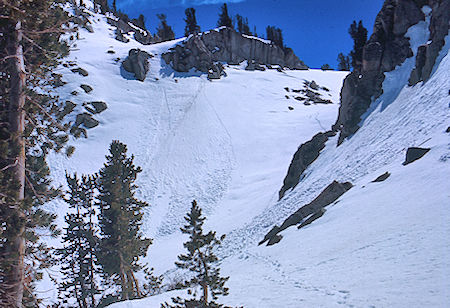 Avalanche evidence on  McGee Creek - John Muir Wilderness 15 May 1971