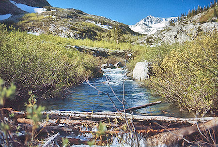 'The Crossing' on McGee Creek - John Muir Wilderness 19 Jun 1971 'The Crossing' on McGee Creek - John Muir Wilderness 19 Jun 1971