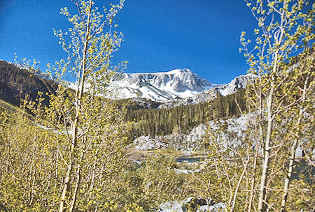 View up McGee Creek - John Muir Wilderness 19 Jun 1971 View up McGee Creek - John Muir Wilderness 19 Jun 1971