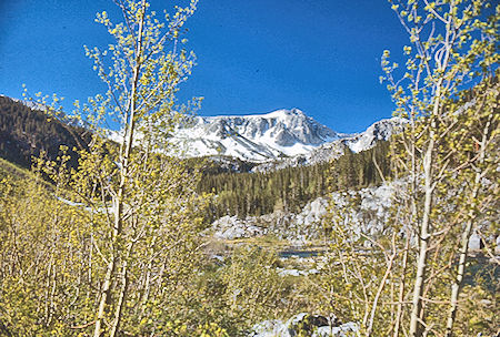 View up McGee Creek  - John Muir Wilderness 19 Jun 1971