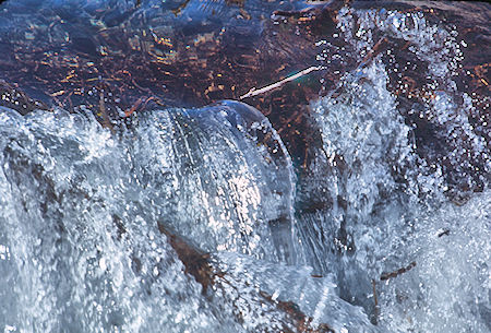 Beaver Dam on McGee Creek - John Muir Wilderness 19 Jun 1971 Beaver Dam on McGee Creek - John Muir Wilderness 19 Jun 1971