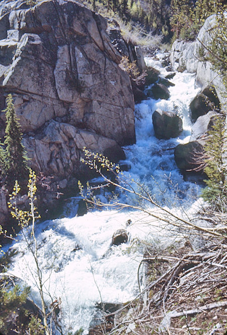 McGee Creek - John Muir Wilderness 19 Jun 1971 McGee Creek - John Muir Wilderness 19 Jun 1971