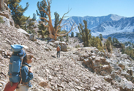 McGee Pass Trail<br>John Muir Wilderness 29 Aug 1976 McGee Pass Trail<br>John Muir Wilderness 29 Aug 1976