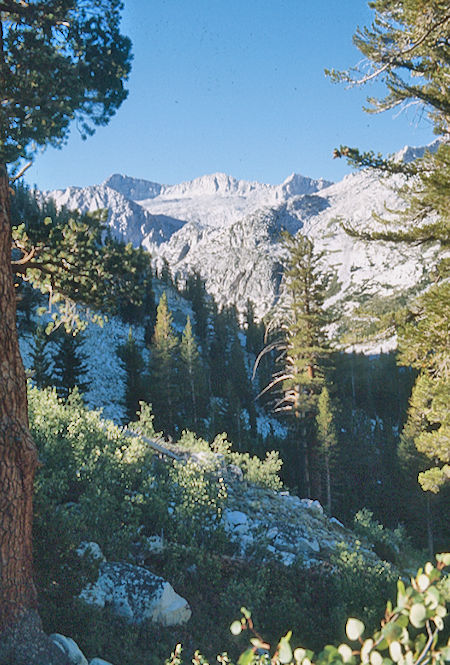 On the way up Mills Creek - John Muir Wilderness 02 Sep 1976