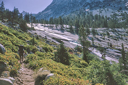 Dusy Creek cascades leaving LeConte Canyon<br>Kings Canyon National Park 28 Aug 1964