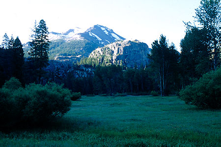 Meadow leaving Kennedy Meadow Resort - Emigrant Wilderness 1993