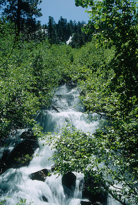 Grouse Creek - Emigrant Wilderness 1993 Grouse Creek - Emigrant Wilderness 1993