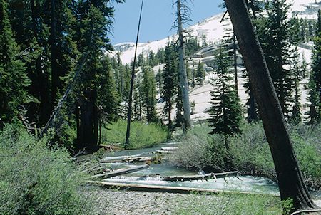 Summit Creek near camp - Emigrant Wilderness 1993 Summit Creek near camp - Emigrant Wilderness 1993