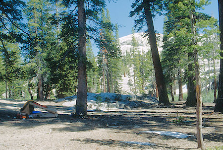 First night's camp on Summit Creek - Emigrant Wilderness 1993 First night's camp on Summit Creek - Emigrant Wilderness 1993