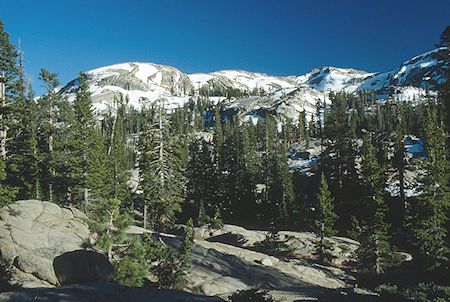 Looking toward Black Hawk Mountain from near camp on Summit Creek - Emigrant Wilderness 1993