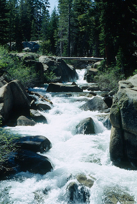 Summit Creek - Emigrant Wilderness 1993