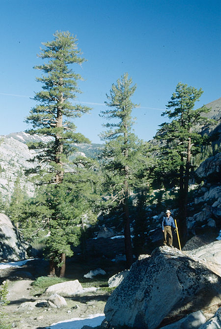 Gil Beilke near camp two - Emigrant Wilderness 1993 Gil Beilke near camp two - Emigrant Wilderness 1993