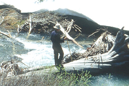 Gil Beilke on logs across Summit Creek at camp two - Emigrant Wilderness 1993 Gil Beilke on logs across Summit Creek at camp two - Emigrant Wilderness 1993