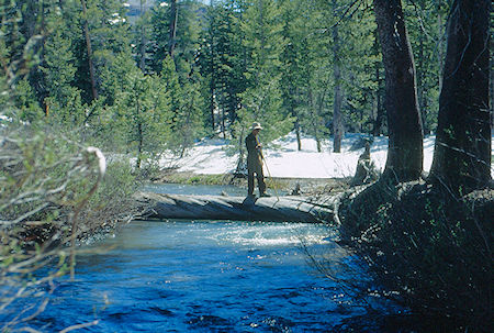 Gil Beilke on log across Summit Creek at camp two - Emigrant Wilderness 1993