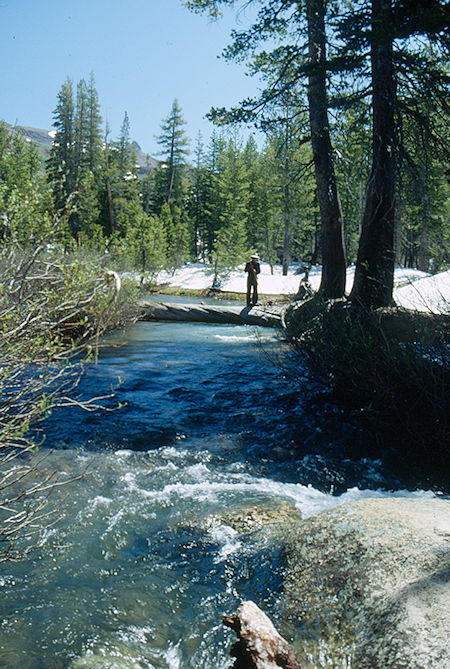 Gil Beilke on log across Summit Creek at second camp - Emigrant Wilderness 1993 Gil Beilke on log across Summit Creek at second camp - Emigrant Wilderness 1993