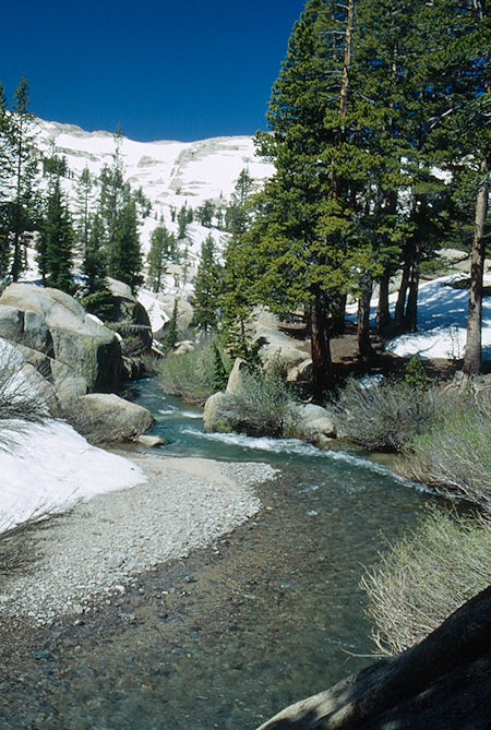 Looking down Summit Creek at camp two - Emigrant Wilderness 1993